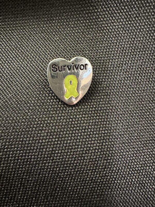 Survivor heart pin